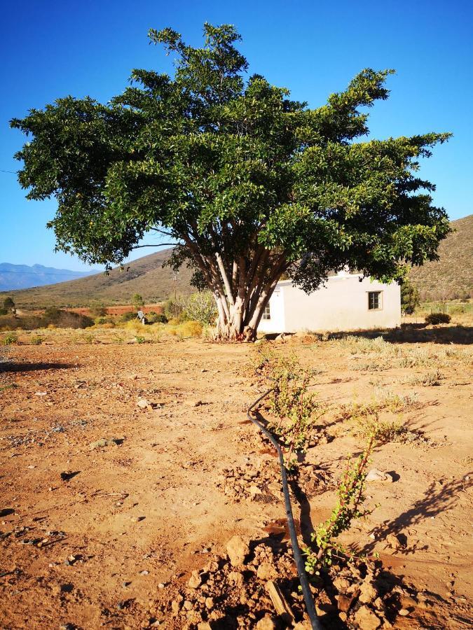 Klipberg Cottage McGregor Exterior foto